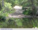 River Crossing At Mission Trails